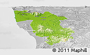 Physical Panoramic Map of Pisa, lighten, desaturated