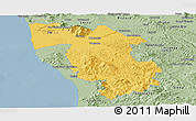 Savanna Style Panoramic Map of Pisa