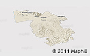 Shaded Relief Panoramic Map of Pisa, cropped outside