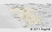 Shaded Relief Panoramic Map of Pisa, desaturated