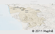 Shaded Relief Panoramic Map of Pisa, lighten