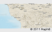 Shaded Relief Panoramic Map of Pisa