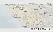 Shaded Relief Panoramic Map of Pisa, semi-desaturated