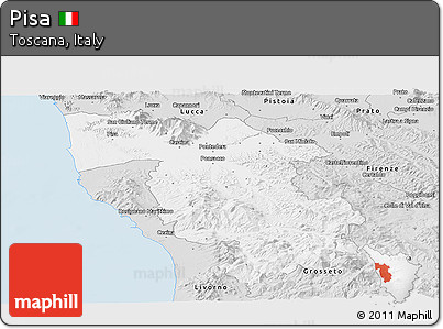 Silver Style Panoramic Map of Pisa