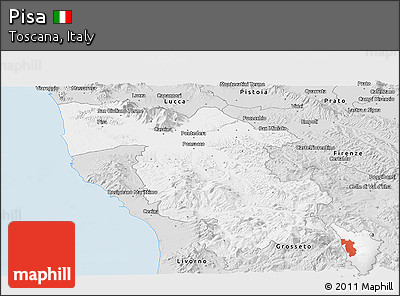 Silver Style Panoramic Map of Pisa