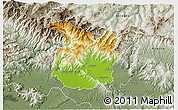 Physical 3D Map of Pistoia, semi-desaturated