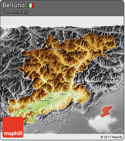 Physical 3D Map of Belluno, desaturated