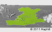 Physical Panoramic Map of Padova, desaturated