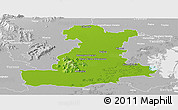 Physical Panoramic Map of Padova, lighten, desaturated