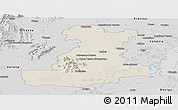 Shaded Relief Panoramic Map of Padova, desaturated