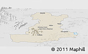 Shaded Relief Panoramic Map of Padova, lighten, desaturated