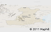Shaded Relief Panoramic Map of Padova, lighten