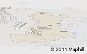 Shaded Relief Panoramic Map of Padova, lighten, semi-desaturated