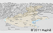 Shaded Relief Panoramic Map of Veneto, desaturated