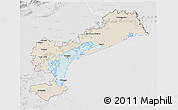 Shaded Relief 3D Map of Venezia, lighten, desaturated