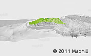 Physical Panoramic Map of Hanover, lighten, desaturated