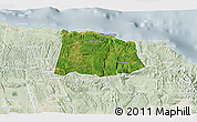 Satellite 3D Map of Saint Ann, lighten
