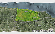 Satellite 3D Map of Saint Ann, semi-desaturated