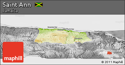 Physical Panoramic Map of Saint Ann, desaturated