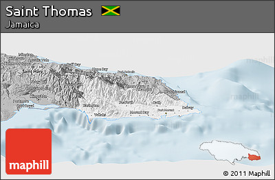 Gray Panoramic Map of Saint Thomas