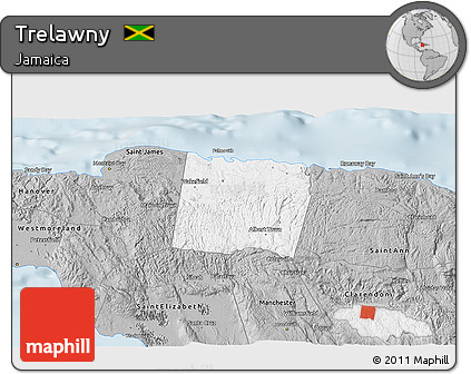 Gray 3D Map of Trelawny
