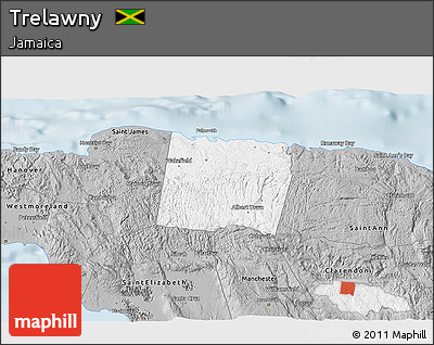 Gray 3D Map of Trelawny
