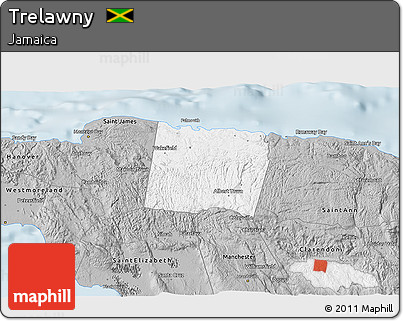 Gray 3D Map of Trelawny