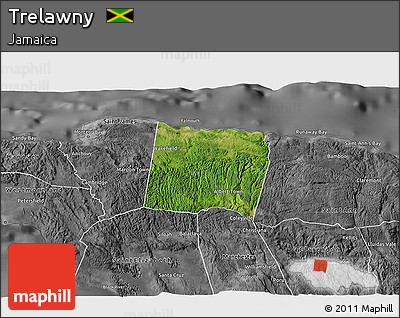 Satellite 3D Map of Trelawny, desaturated
