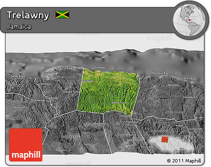 Satellite 3D Map of Trelawny, desaturated