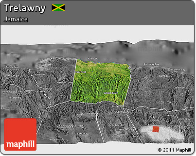 Satellite 3D Map of Trelawny, desaturated