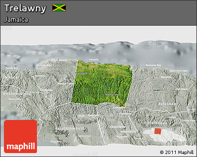Satellite 3D Map of Trelawny, lighten, semi-desaturated