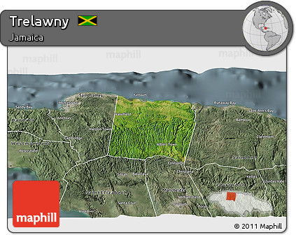 Satellite 3D Map of Trelawny, semi-desaturated