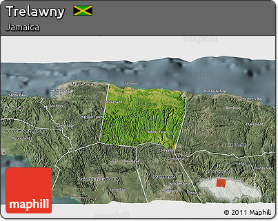 Satellite 3D Map of Trelawny, semi-desaturated