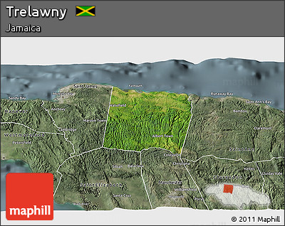 Satellite 3D Map of Trelawny, semi-desaturated