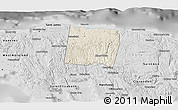 Shaded Relief 3D Map of Trelawny, desaturated