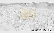 Shaded Relief 3D Map of Trelawny, lighten, desaturated