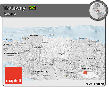 Silver Style 3D Map of Trelawny