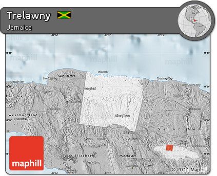 Gray Map of Trelawny