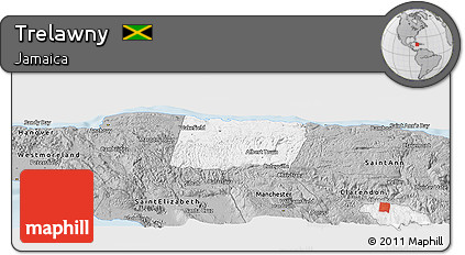 Gray Panoramic Map of Trelawny