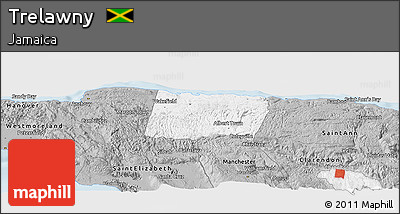 Gray Panoramic Map of Trelawny