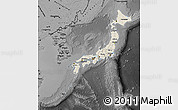 Shaded Relief Map of Japan, darken, desaturated