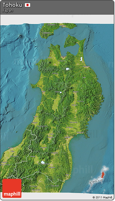 Satellite 3D Map of Tohoku