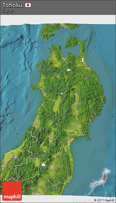 Satellite 3D Map of Tohoku