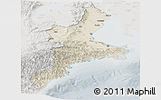 Shaded Relief Panoramic Map of Mie, lighten, semi-desaturated