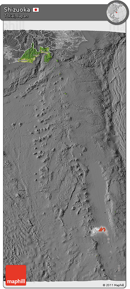 Satellite 3D Map of Shizuoka, desaturated
