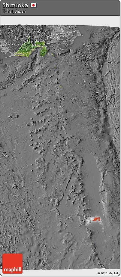 Satellite 3D Map of Shizuoka, desaturated