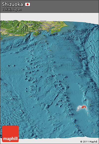 Satellite Panoramic Map of Shizuoka