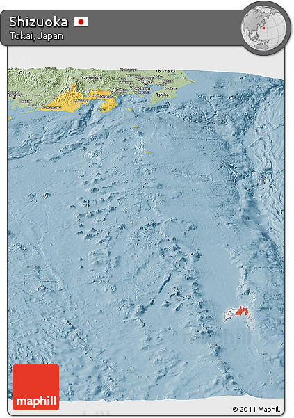 Savanna Style Panoramic Map of Shizuoka