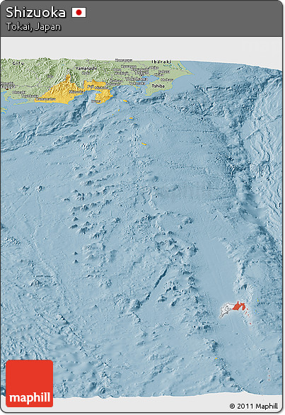 Savanna Style Panoramic Map of Shizuoka
