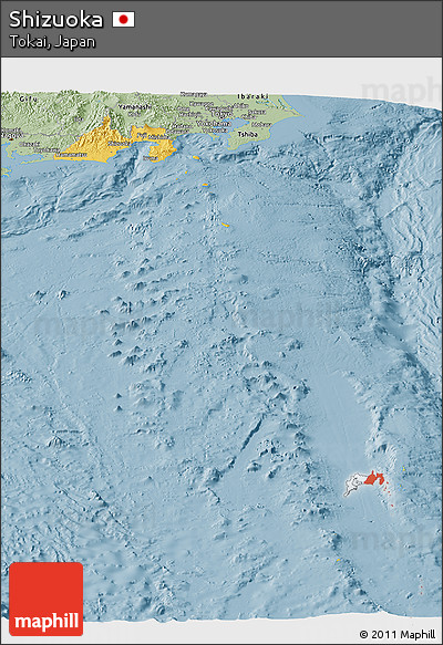 Savanna Style Panoramic Map of Shizuoka